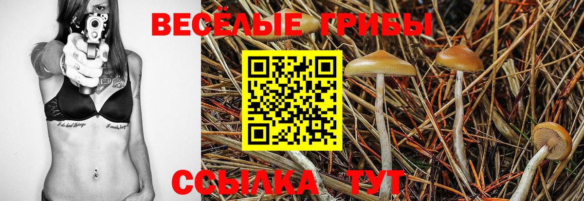 Сочи  Галлюциногенные грибы Psilocybe  Псилоцибиновые грибы Psilocybine cubensis  Вход с VPN 