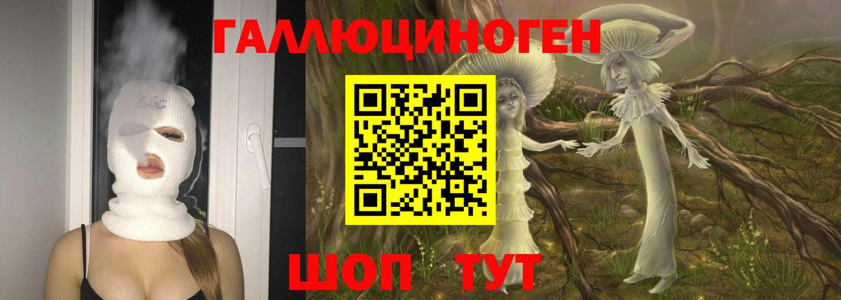 ГАШ Сочи